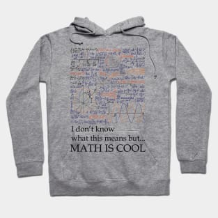 MATH IS COOL Hoodie